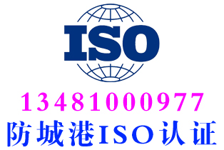 港口区iso42001人工智能体系认证
